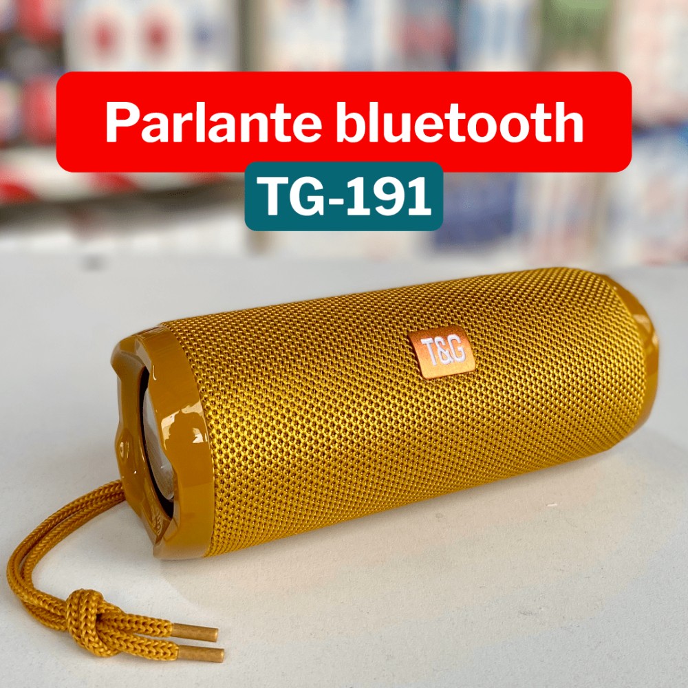 Radio Parlante USB T&G TG-191